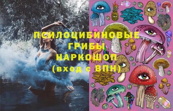 индика Протвино