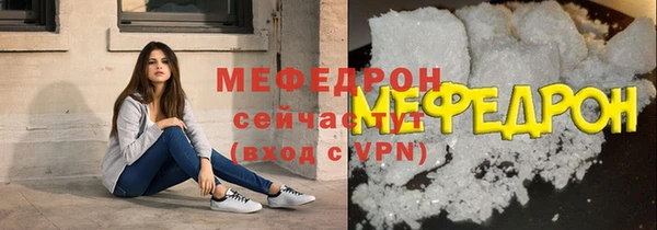 индика Протвино