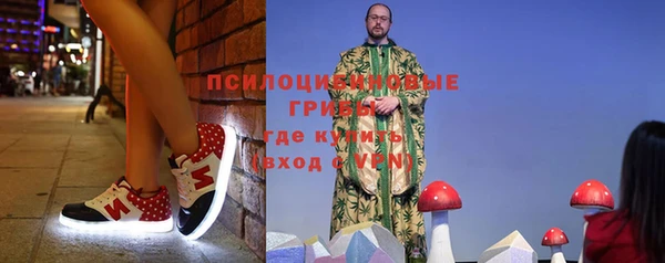 индика Протвино
