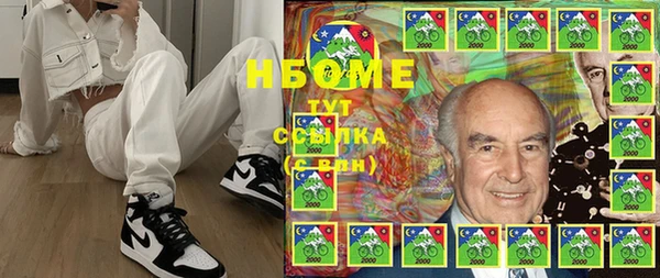 индика Приозерск