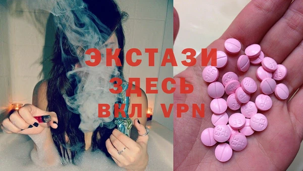 индика Приозерск