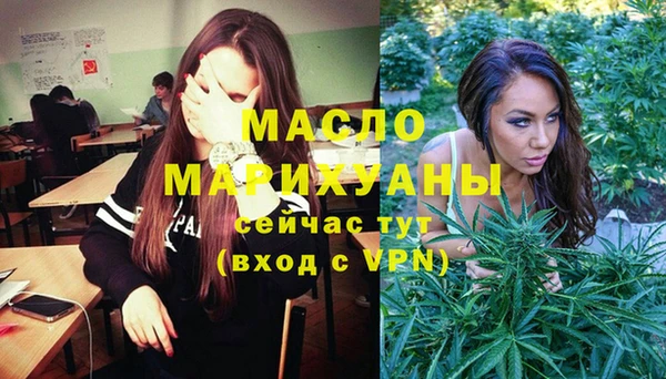 индика Протвино