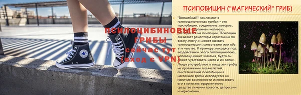 индика Протвино