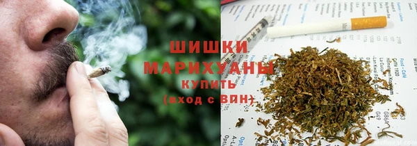 индика Приозерск