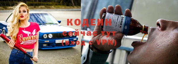 индика Приозерск